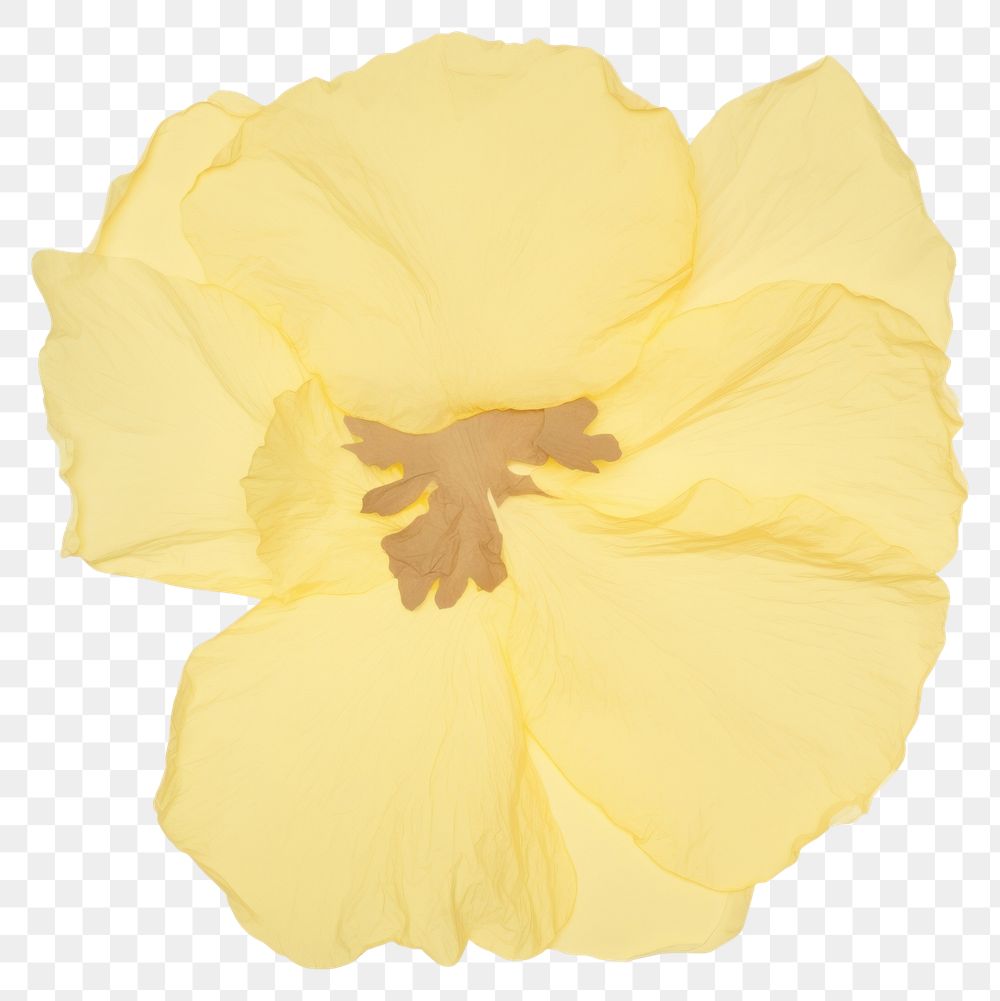 PNG Flower shape ripped paper hibiscus daffodil blossom.