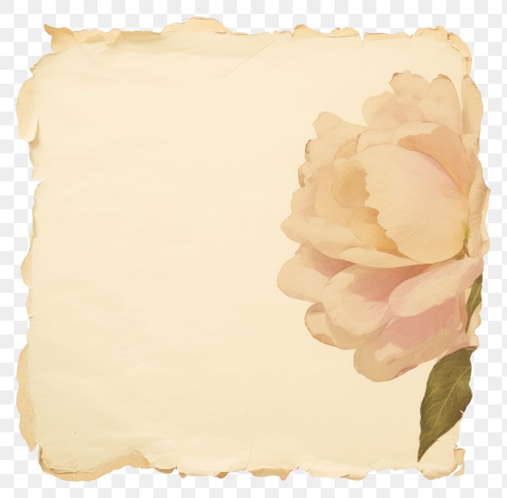PNG Flower ripped paper text painting blossom