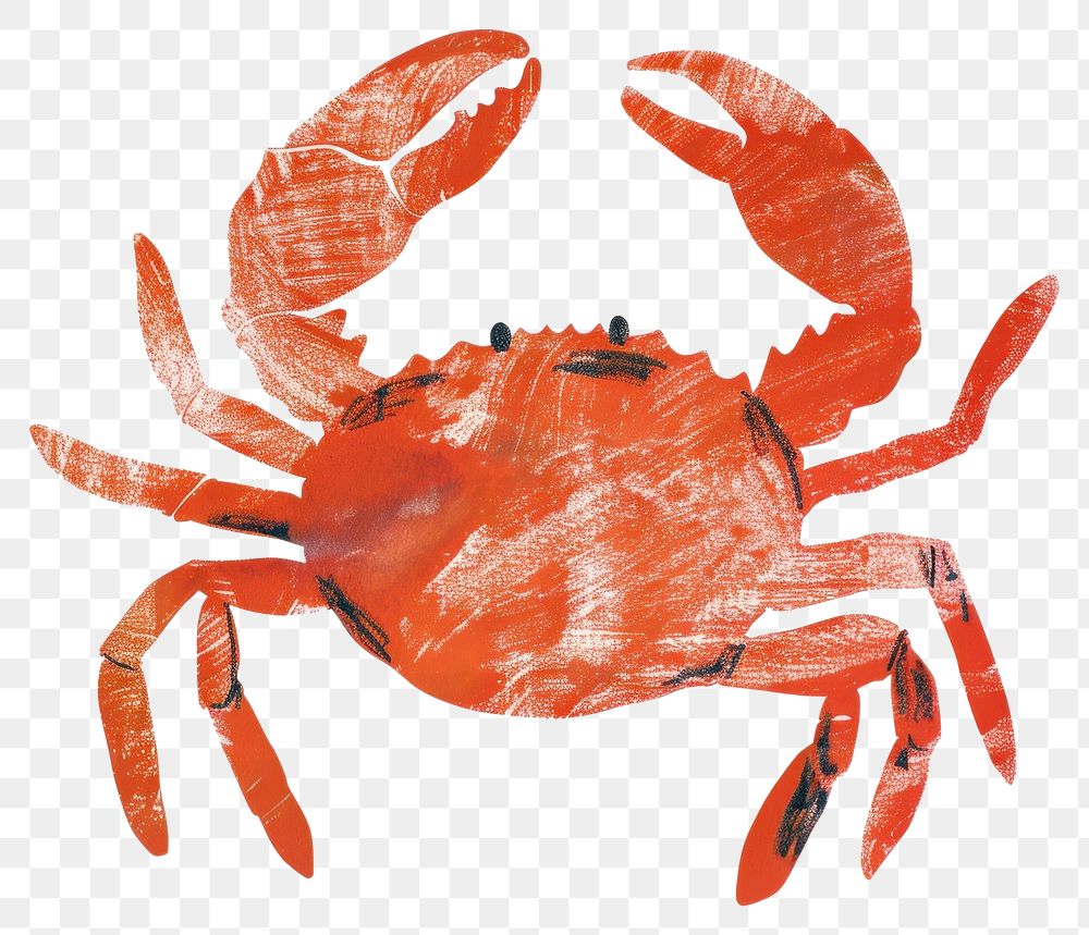 PNG Crab invertebrate seafood ketchup.