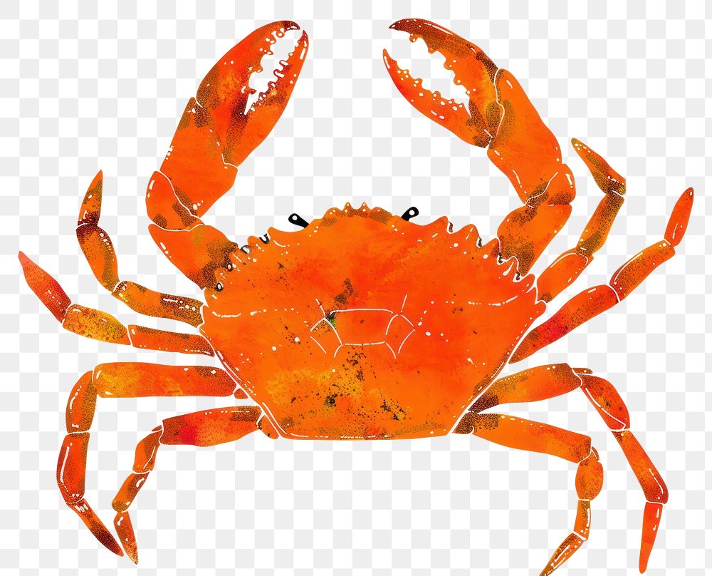 PNG Crab invertebrate seafood lobster.