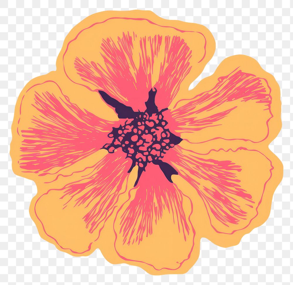 PNG Blossom hibiscus anemone flower.