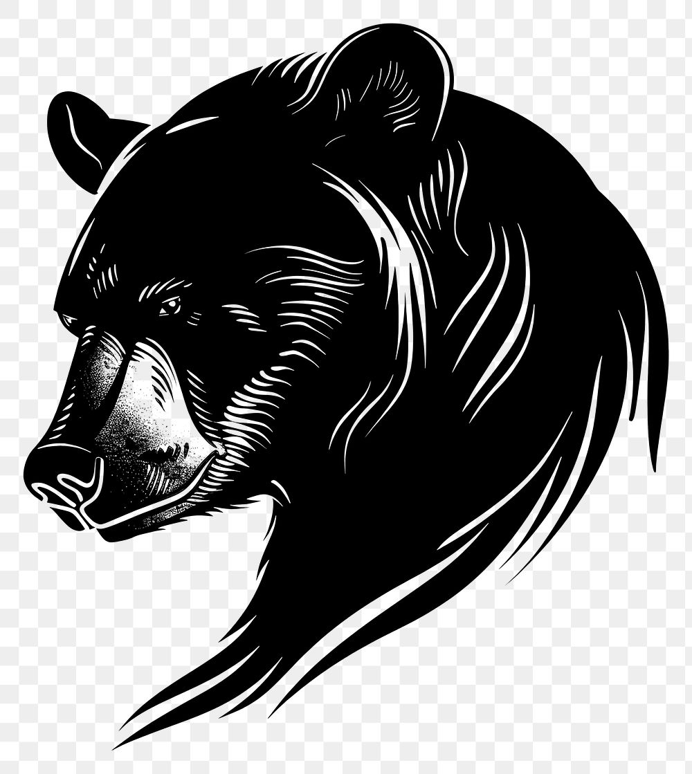 PNG Bear bear wildlife animal.