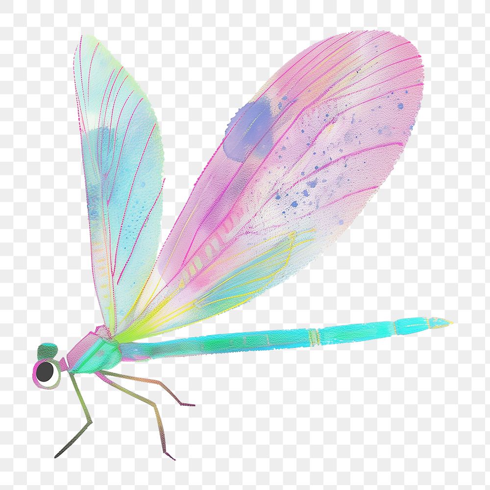 Dragonfly png cute animal, transparent background