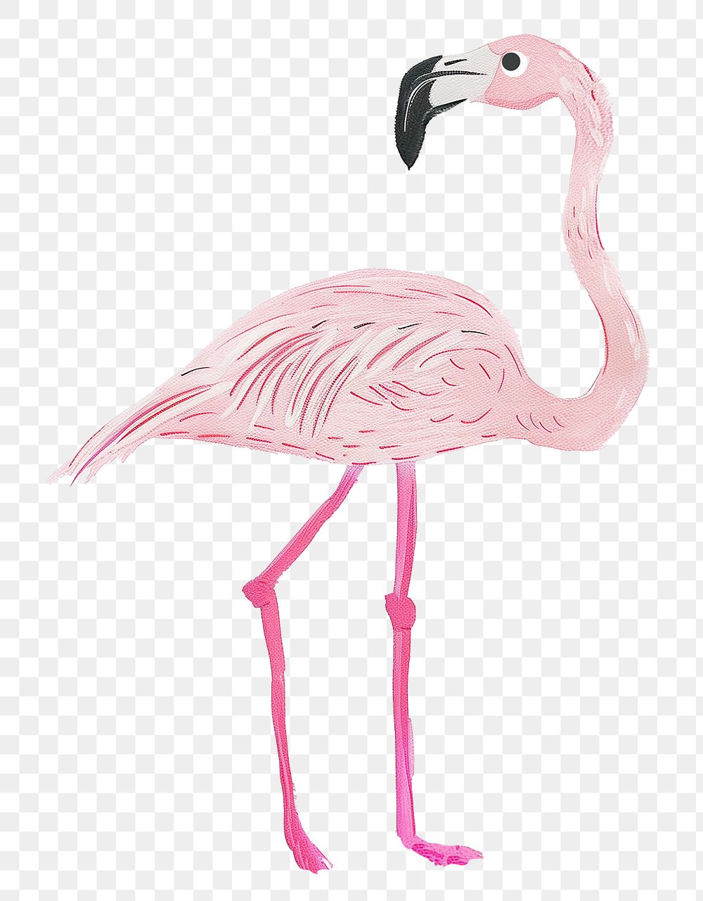 Flamingo png cute animal, transparent background