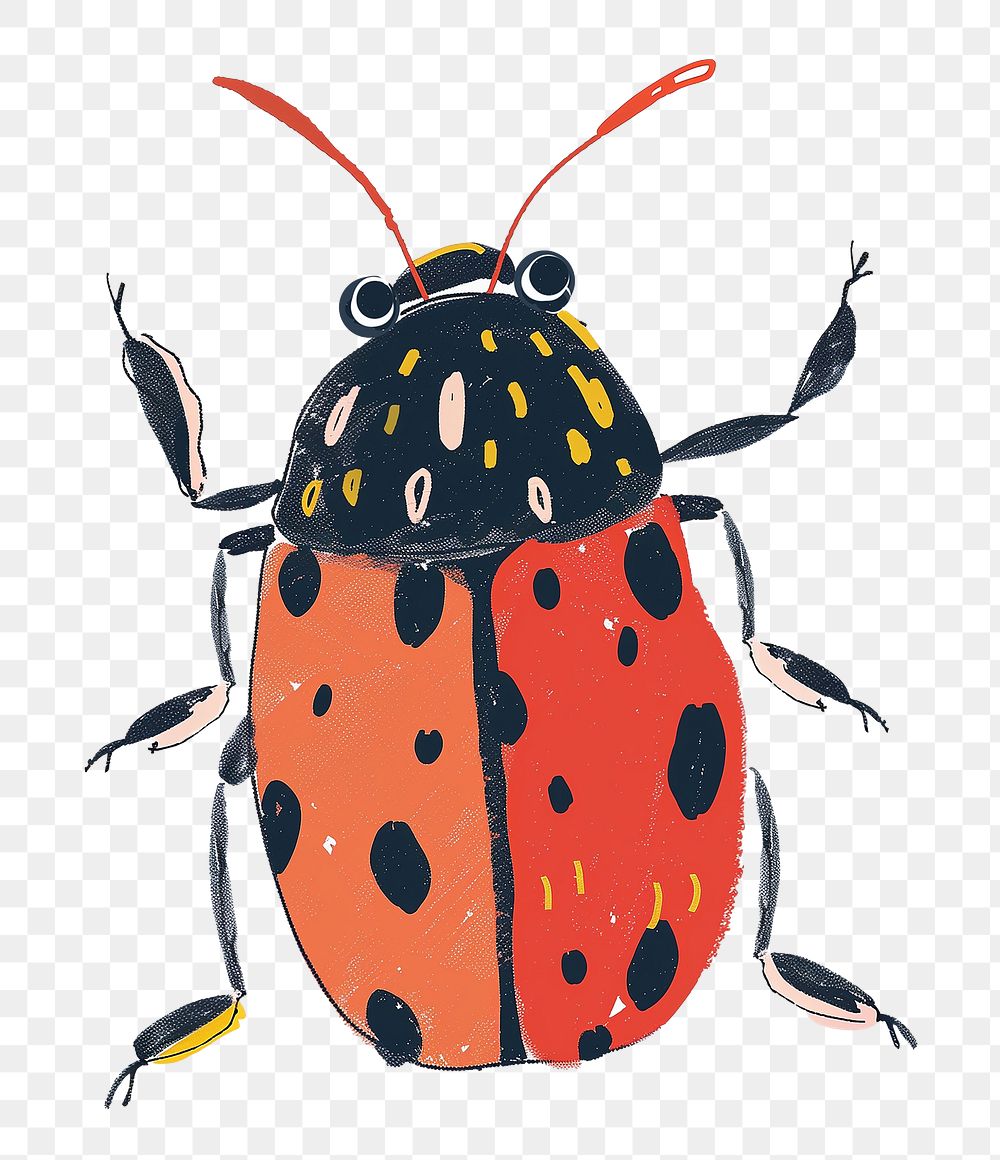 Insect png cute animal, transparent background