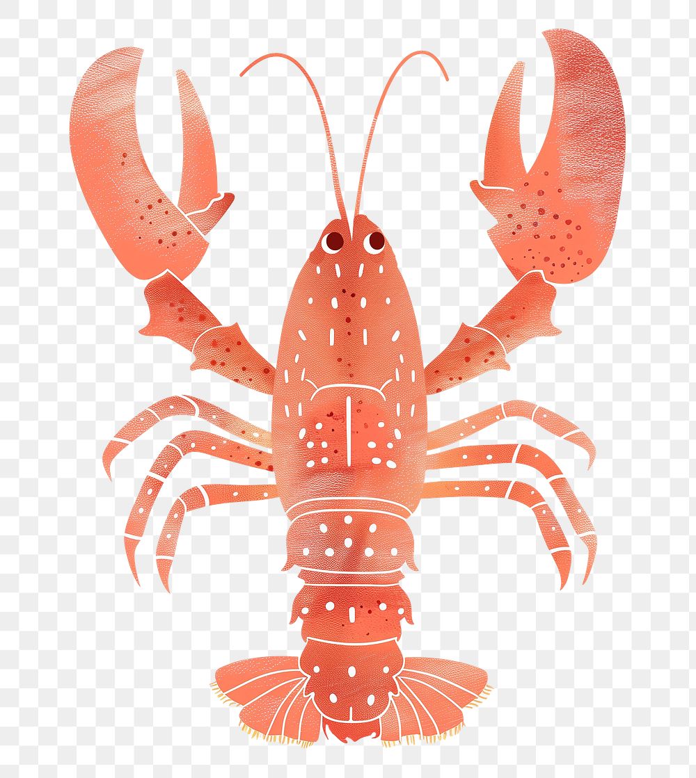 Lobster png cute animal, transparent background