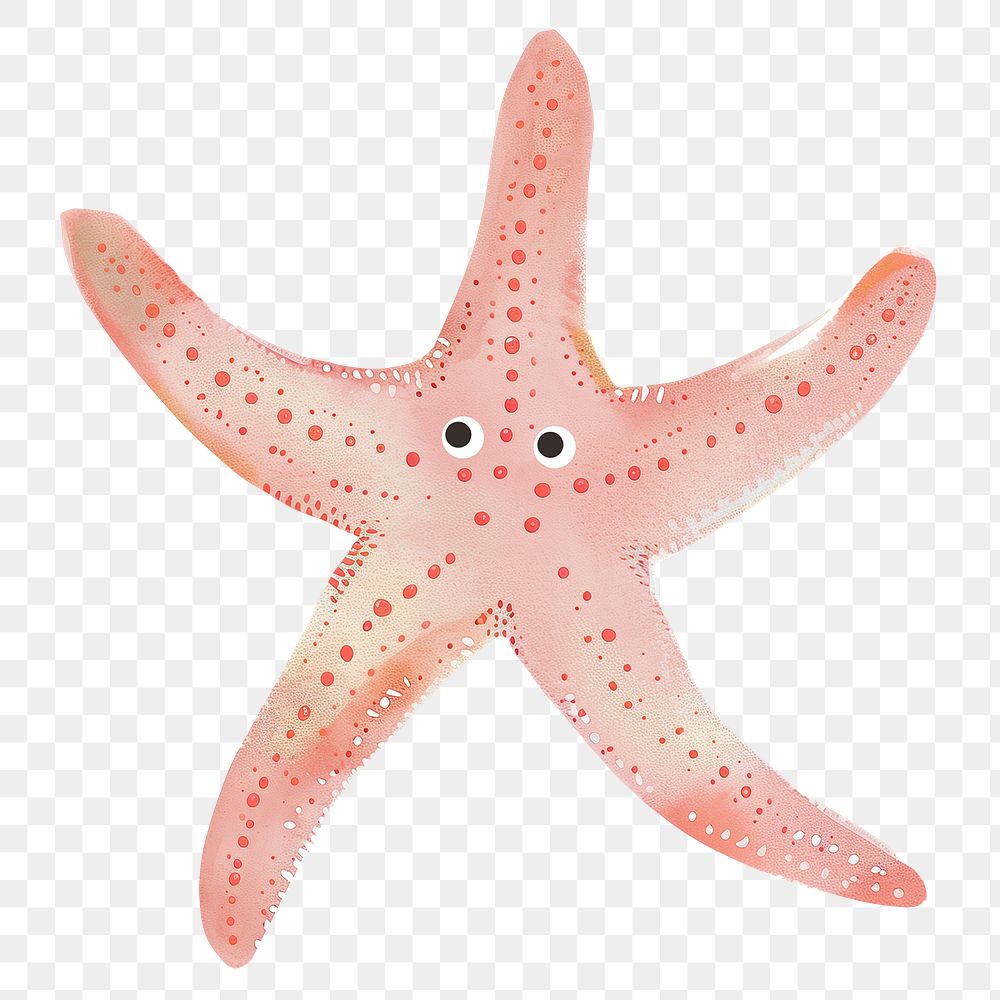 Starfish png cute animal, transparent background