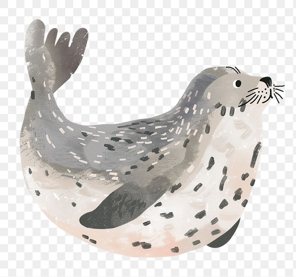 Seal png cute animal, transparent background