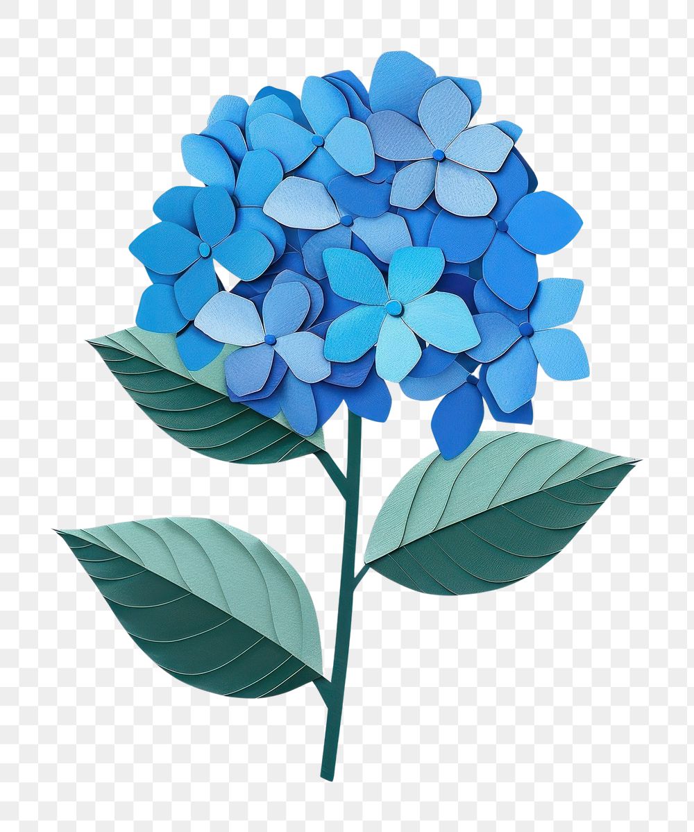 PNG Blue hydrangea flower chandelier blossom dahlia