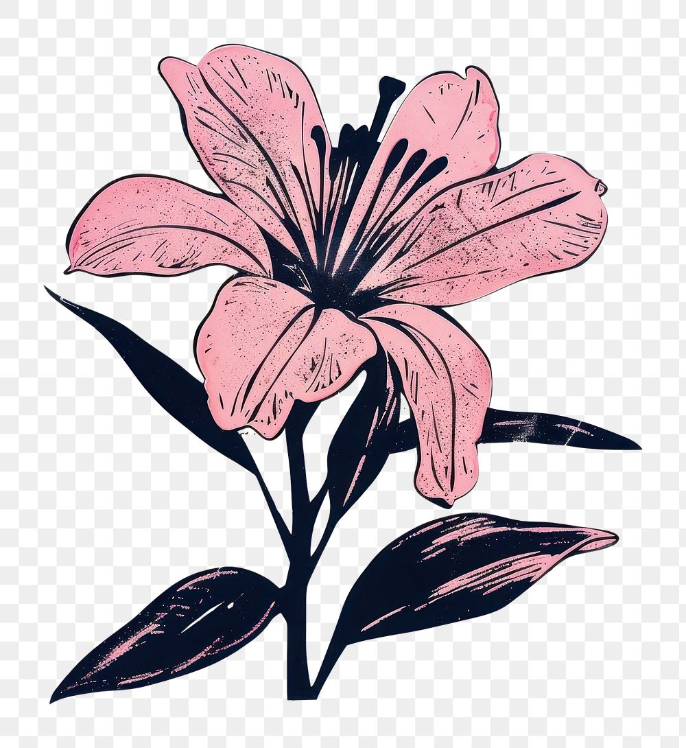PNG Pink flower blossom anther animal.
