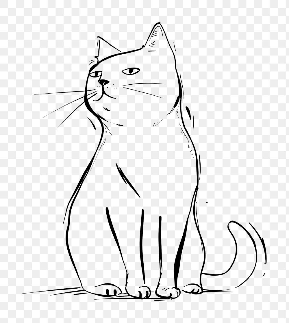 PNG Cat sketch art illustrated