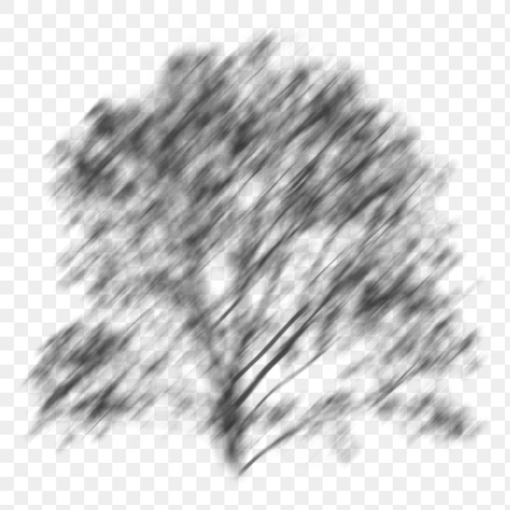 PNG tree shadow effect, transparent background