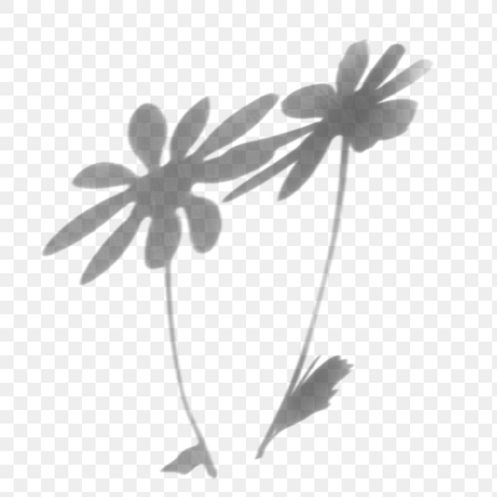 Flower shadow png element effect, transparent background