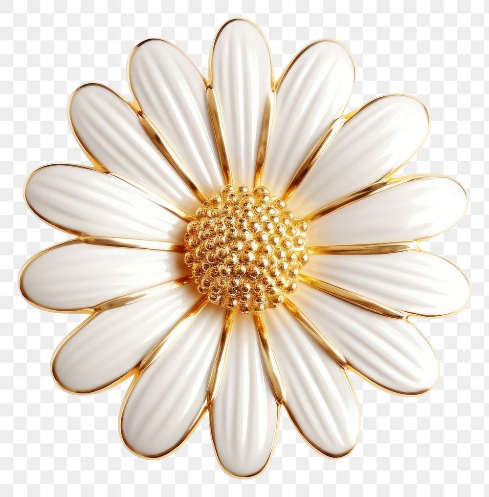 PNG Brooch of daisy accessories asteraceae chandelier