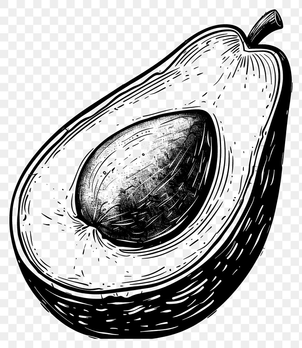 PNG  Avocado tattoo flash illustration produce fruit plant.