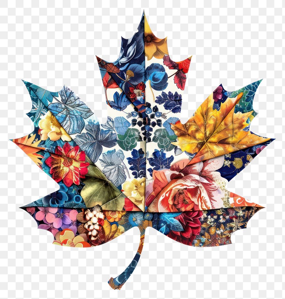 PNG Flower Collage maple leaf pattern collage plant.