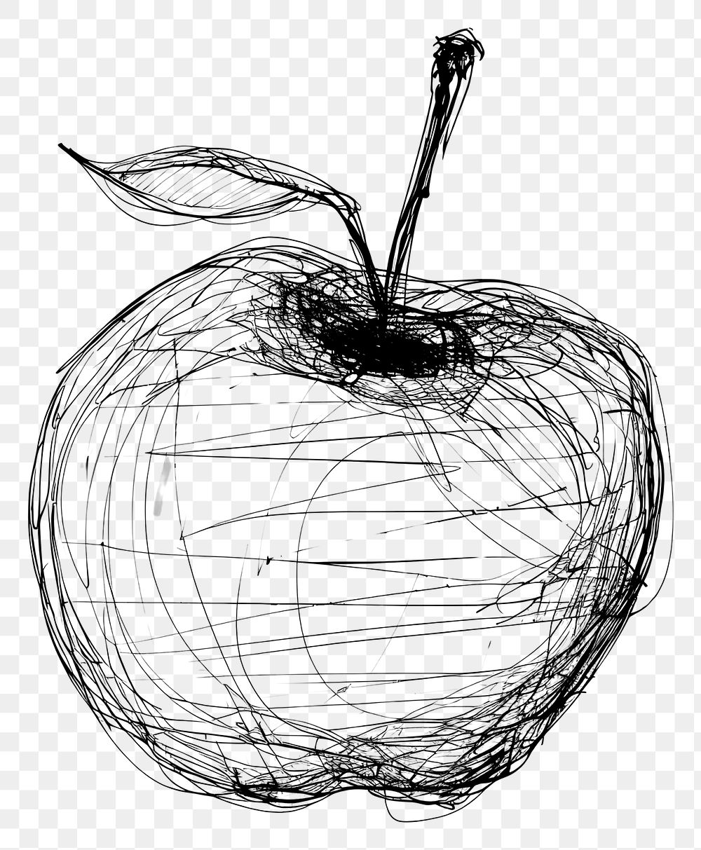 PNG Hand drawn of apple drawing sketch fruit.