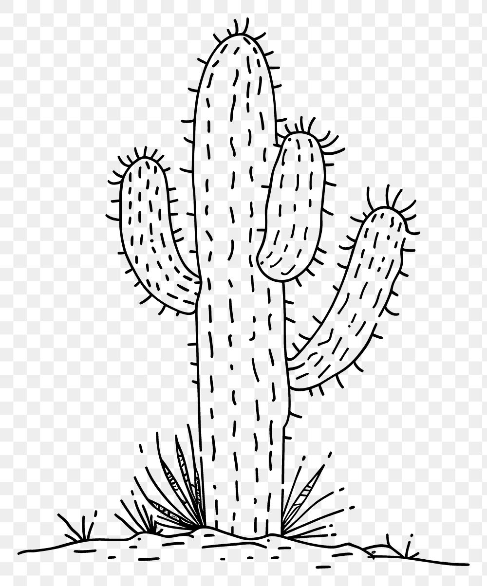 PNG Hand drawn of cactus cartoon drawing sketch