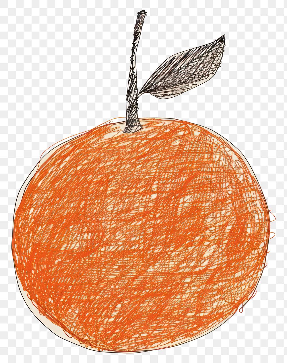 PNG Hand drawn of orange drawing sketch fruit.