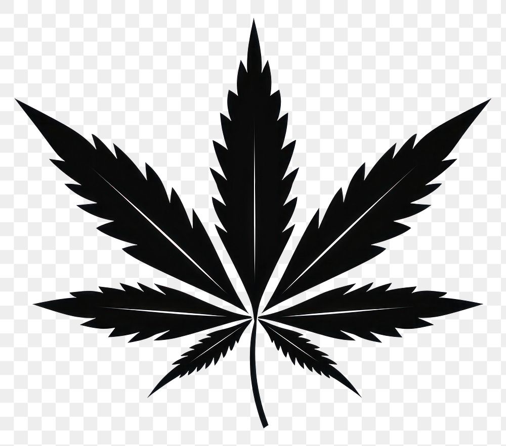 PNG Cannabis leaf plant black white background.