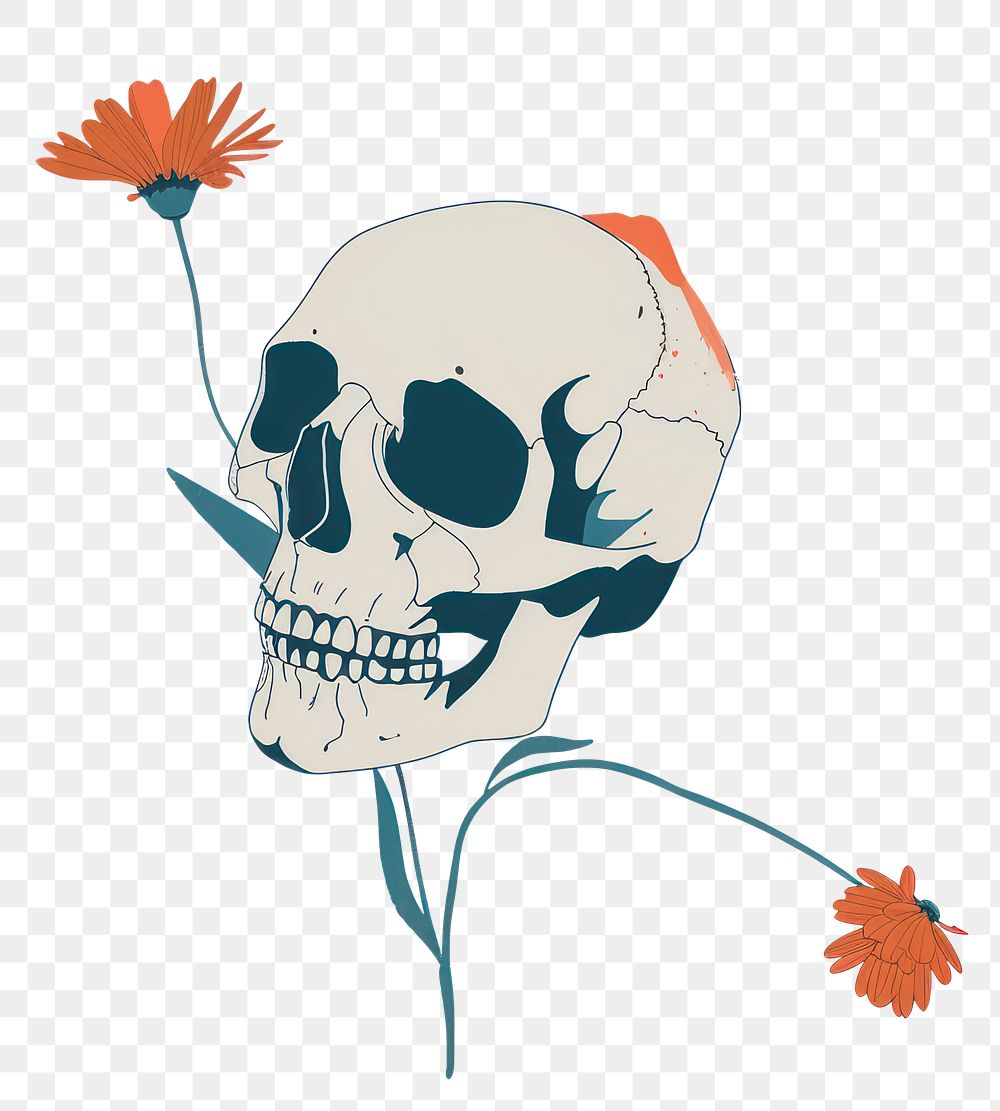 PNG Drawing skull with flower art sketch representation.