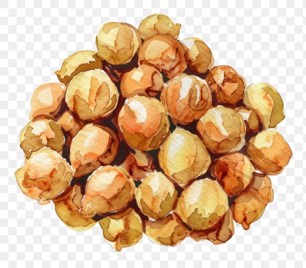 PNG An isolated fresh chickpeas illustration watercolor food.