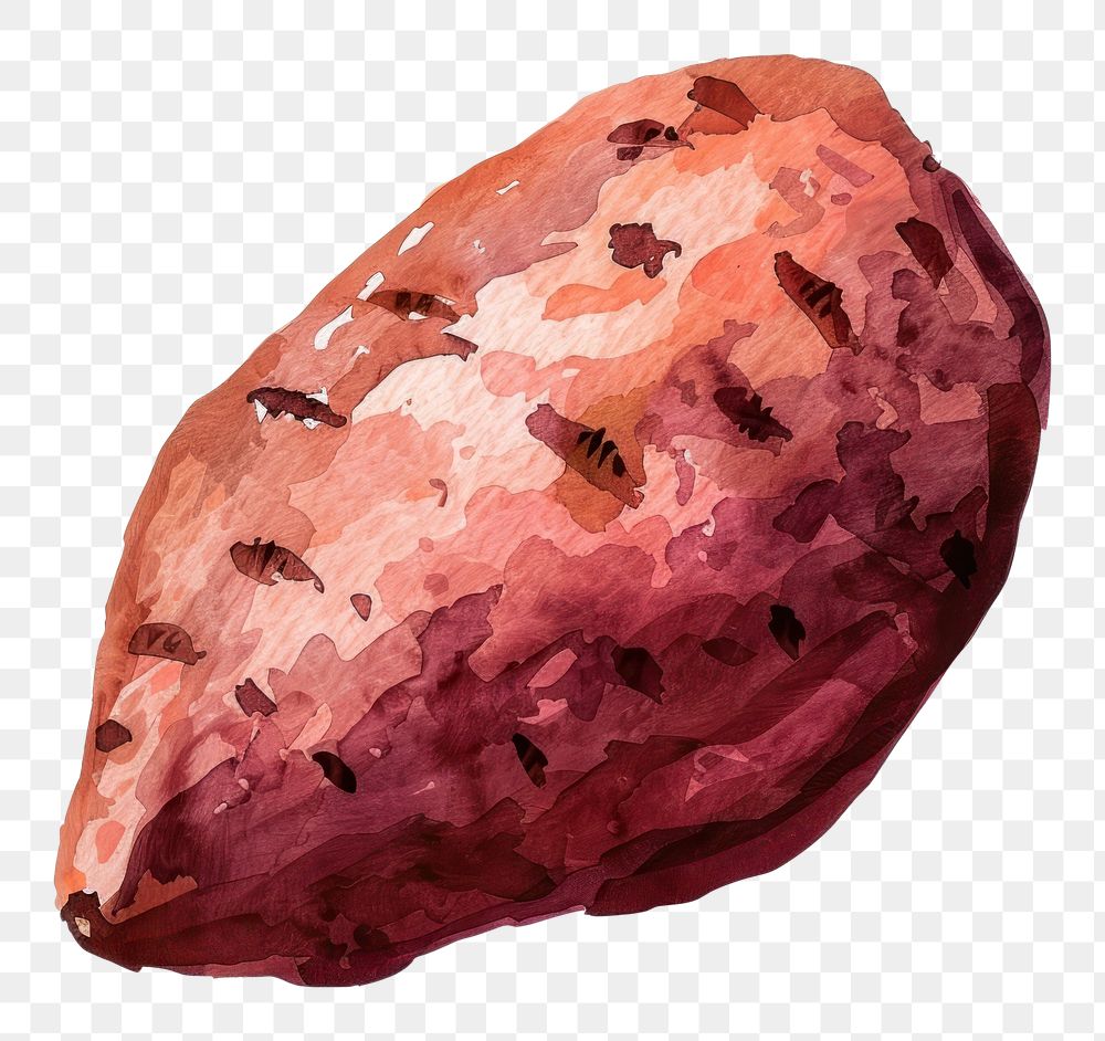 PNG An isolated fresh sweet potato food illustration watercolor.