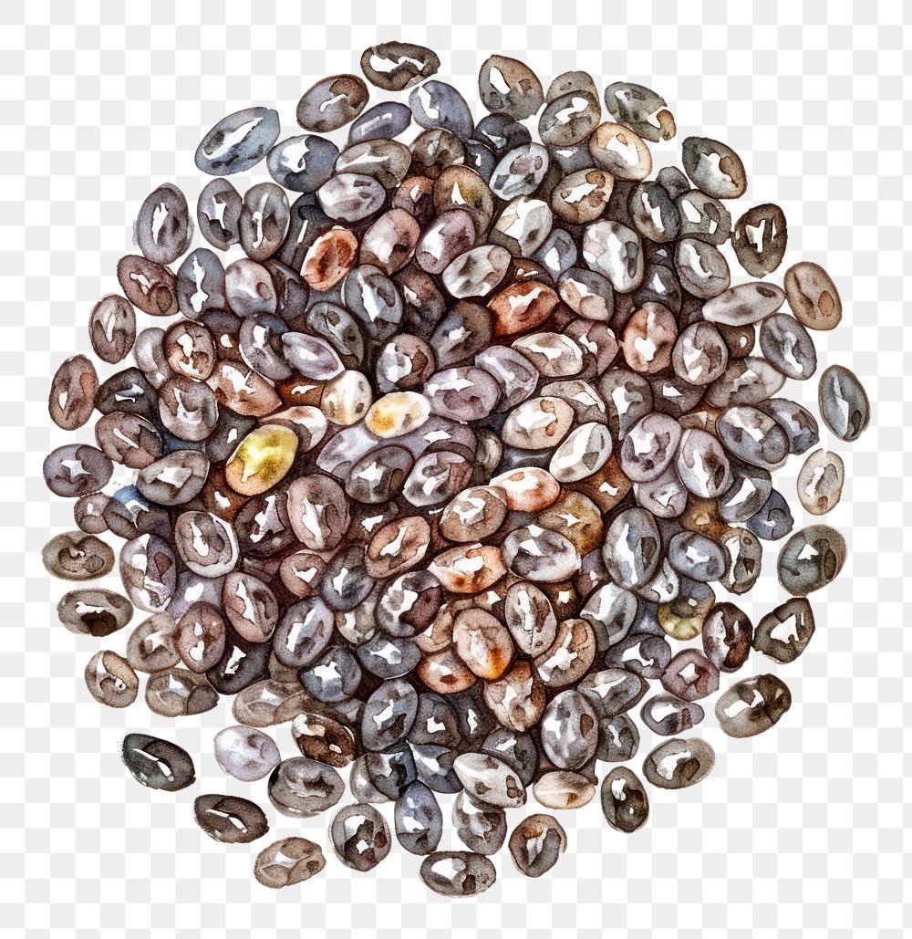 PNG An isolated fresh chia seeds illustration watercolor food.