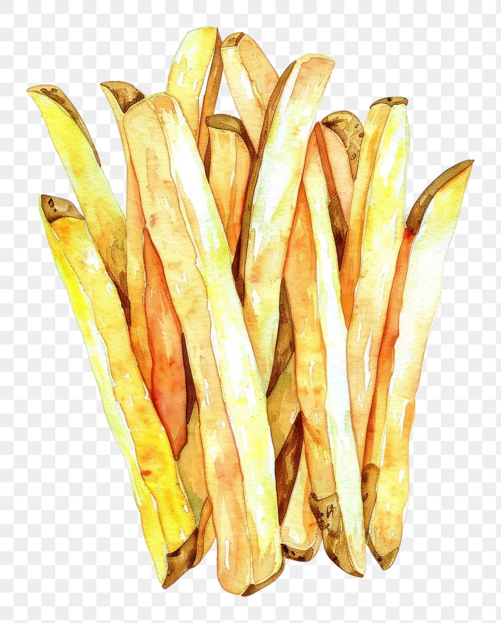 PNG An isolated french fries food illustration watercolor.