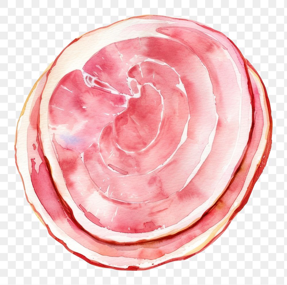 PNG An isolated raw chicken ham slice food illustration watercolor.