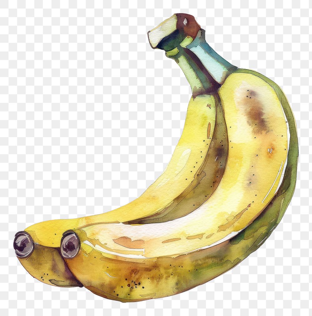 PNG An isolated fresh individual banana illustration watercolor fruit.