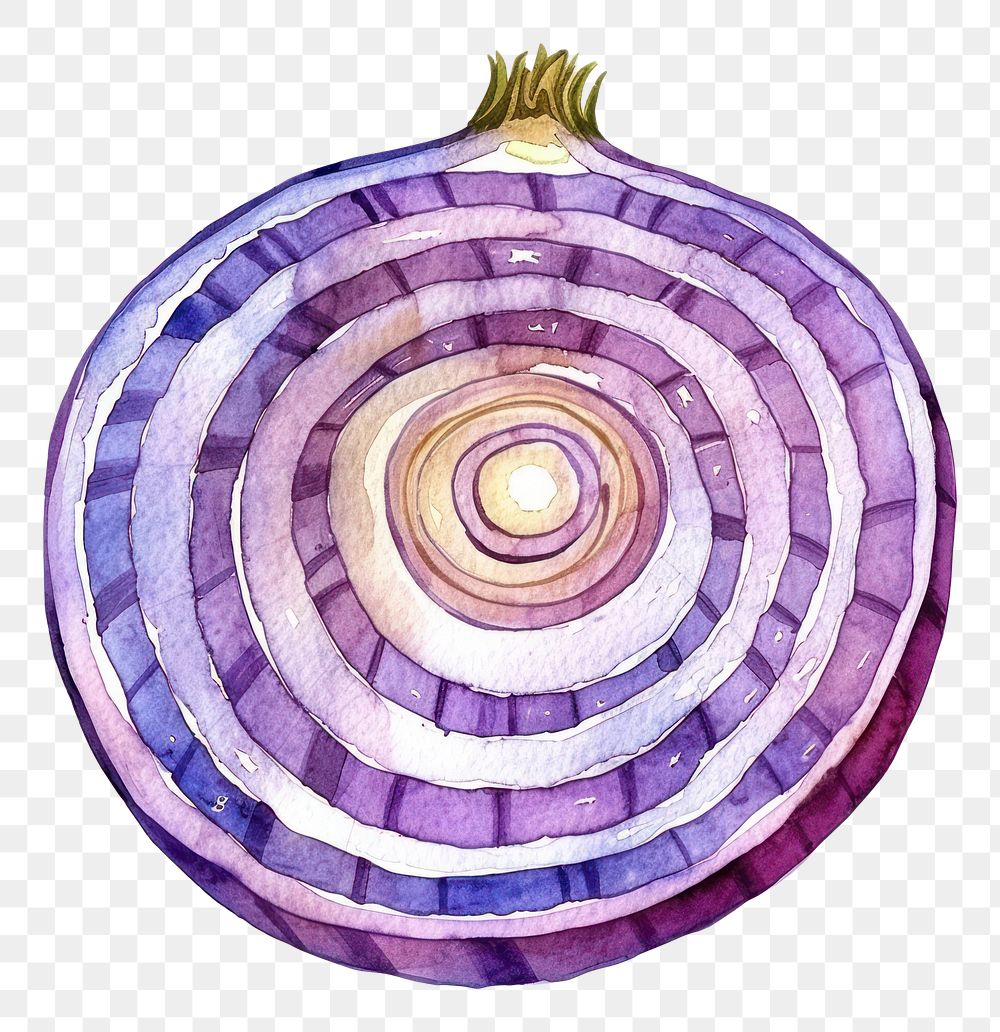 PNG An isolated fresh slice onion food illustration watercolor.