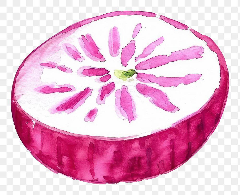 PNG An isolated fresh slice radish food illustration watercolor.