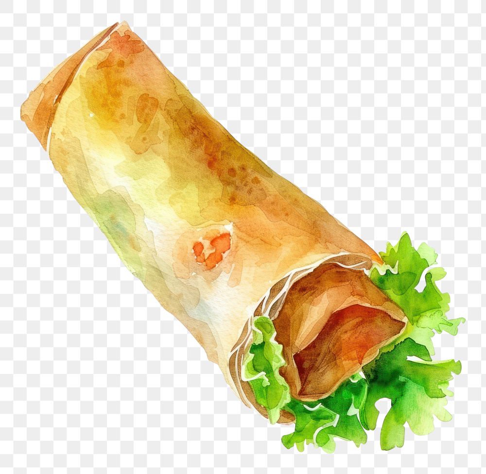 PNG An isolated spring roll food illustration watercolor.