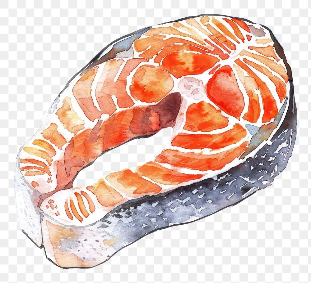 PNG An isolated raw salmon steak illustration watercolor vibrant.