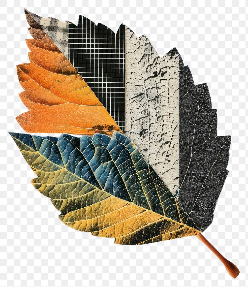 PNG Autumn leaf retro paper collage abstract textures nature.