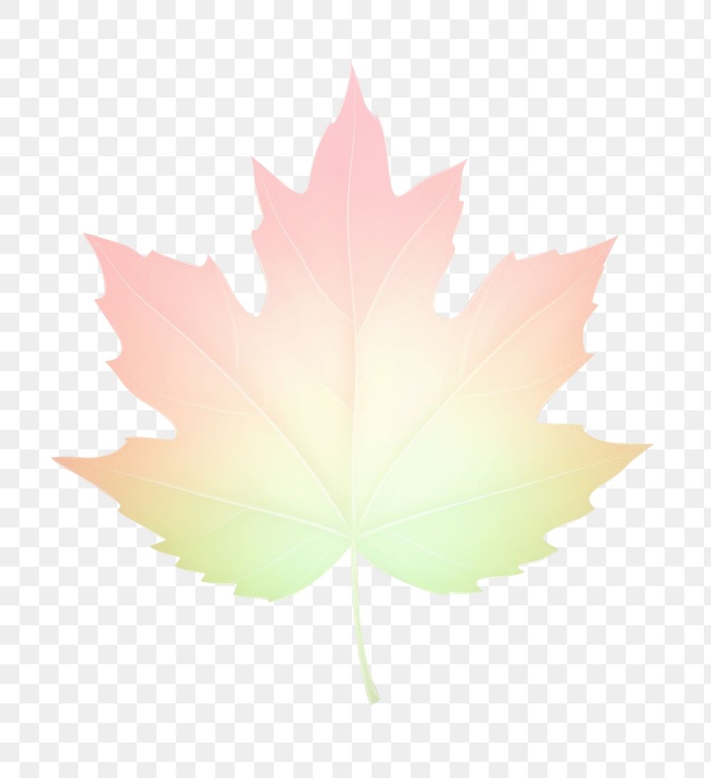 PNG Blurry leaf icon shape aura wallpaper gradient nature pastel.