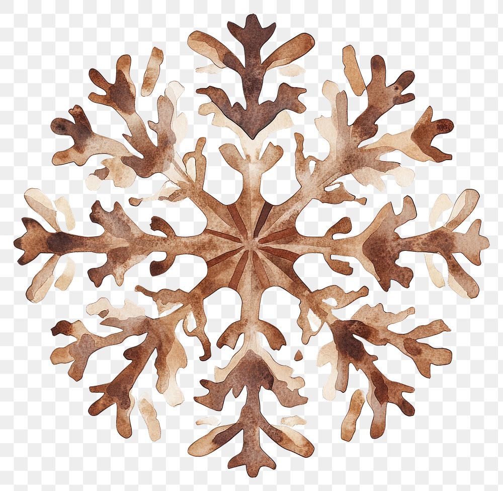 PNG Wooden Snowflake illustration watercolor snowflake.