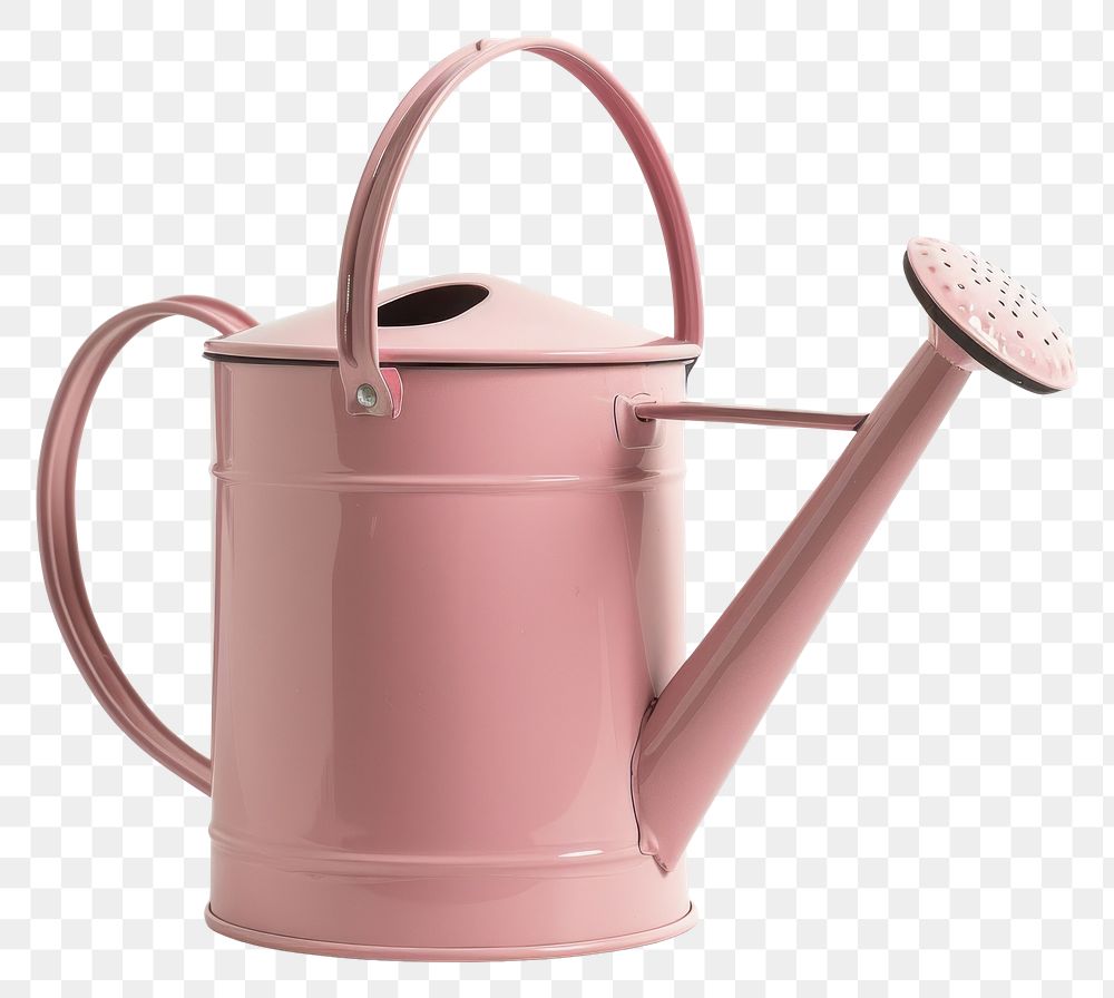 PNG Cottagecore cute watering can tin gardening accessory.