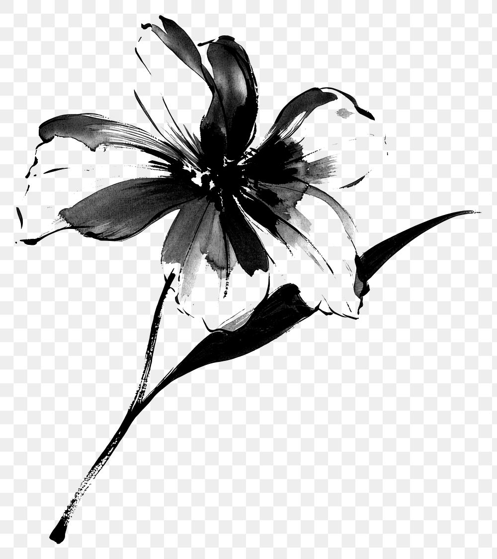 PNG Dendilion flower drawing sketch black.