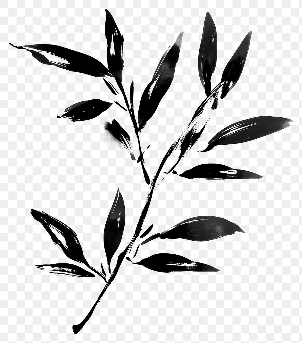 PNG Olive branch black leaf art.