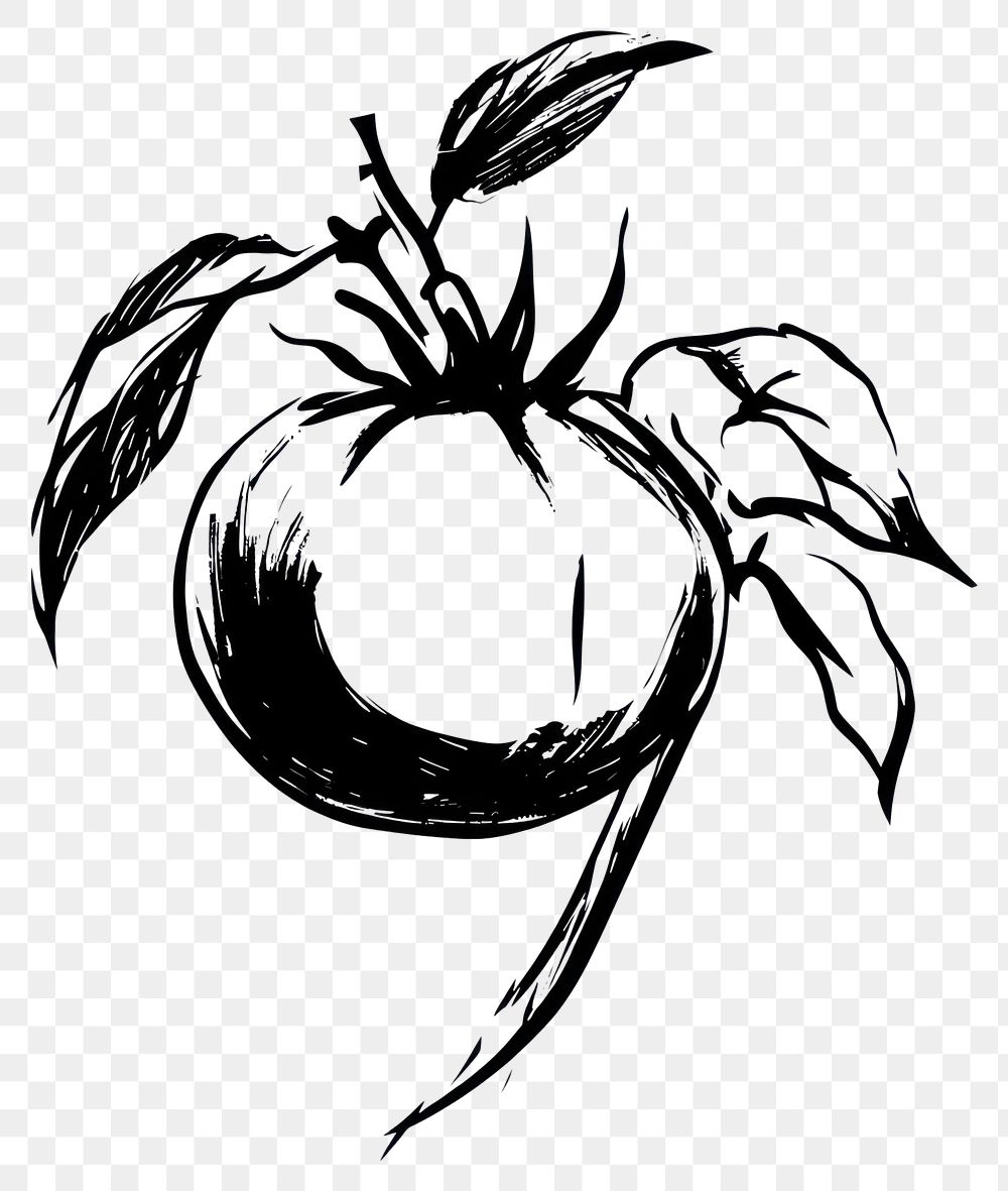 PNG Tomato drawing sketch black.