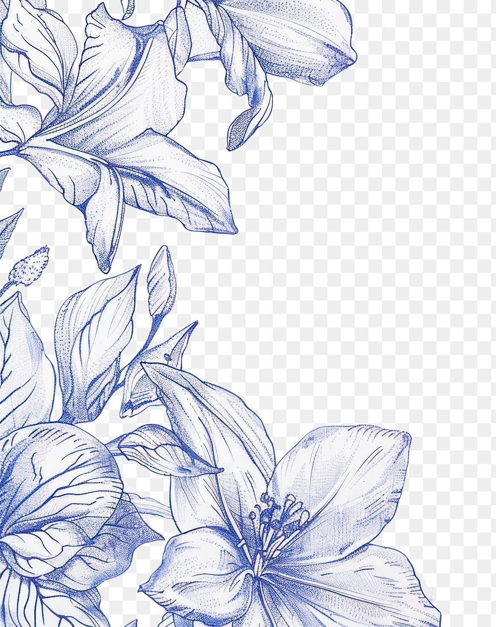 PNG Vintage drawing flowers sketch blue art.