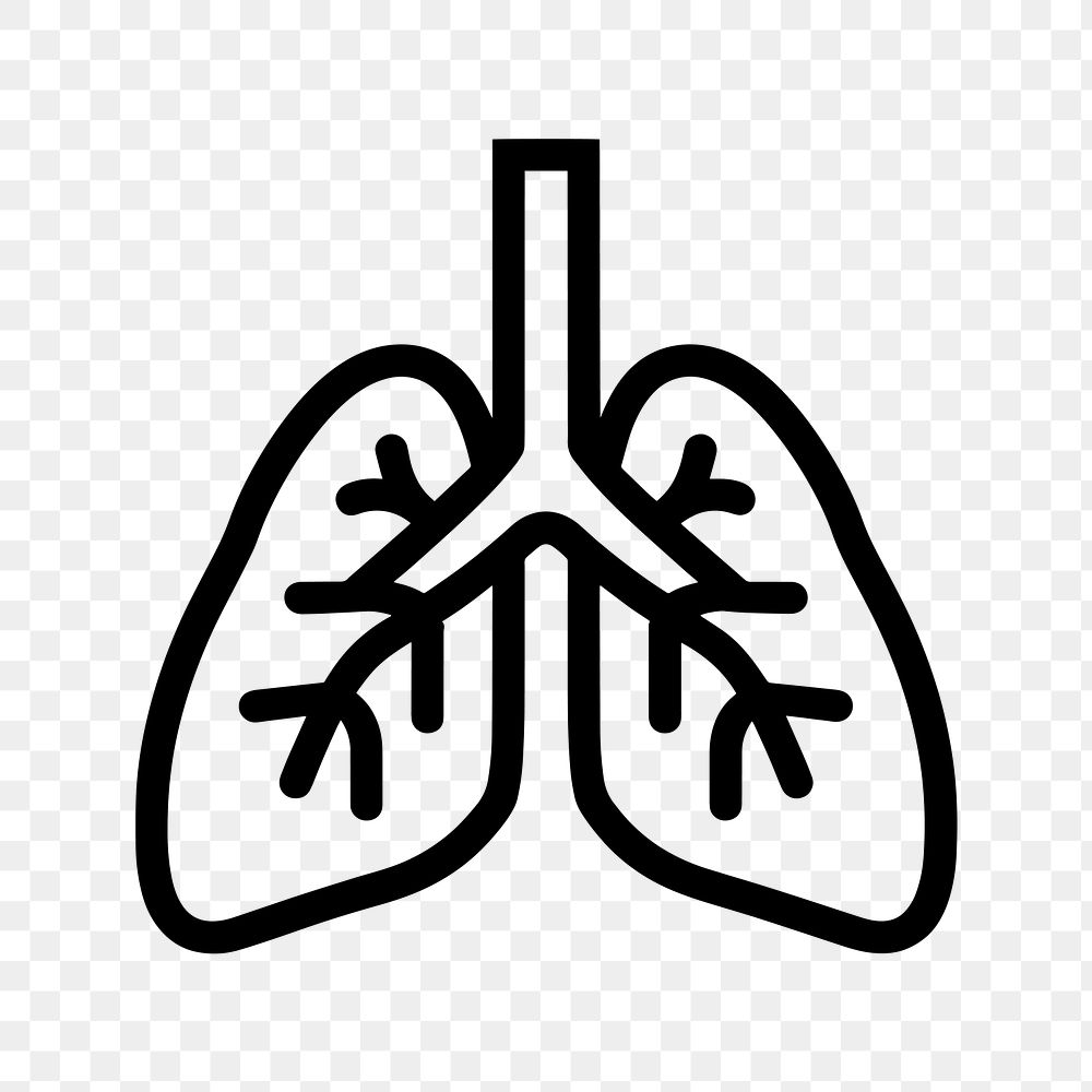 PNG Simple health lung icon illustration lungs white.