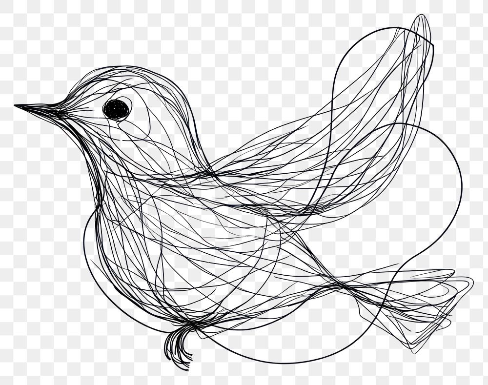 PNG Hand drawn of bird drawing art minimalist.