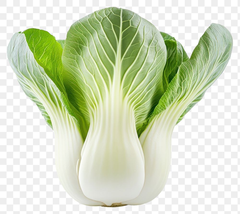 PNG Bok choies vegetable produce fresh.