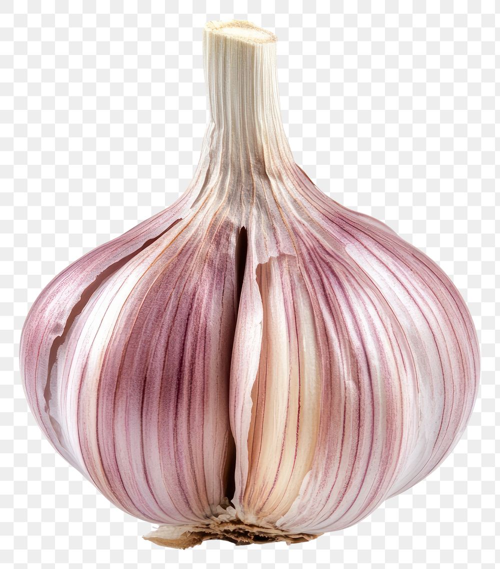 PNG A single Garlic Clove garlic background vegetable.