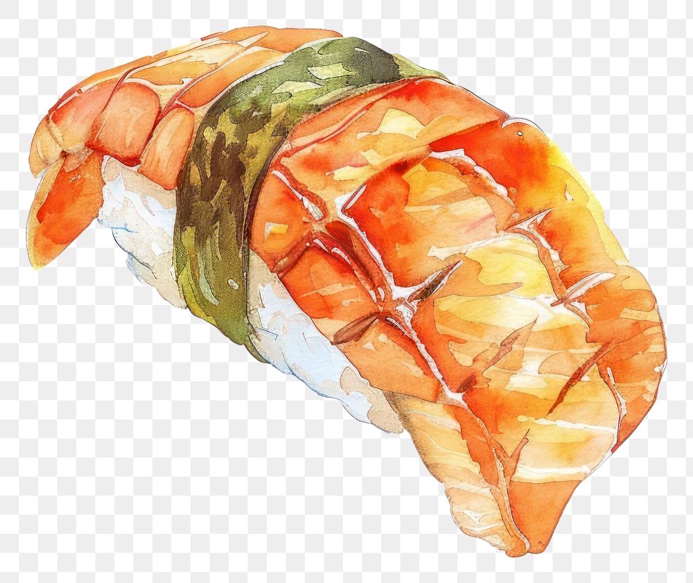 PNG An isolated unagi nigiri illustration watercolor sushi.