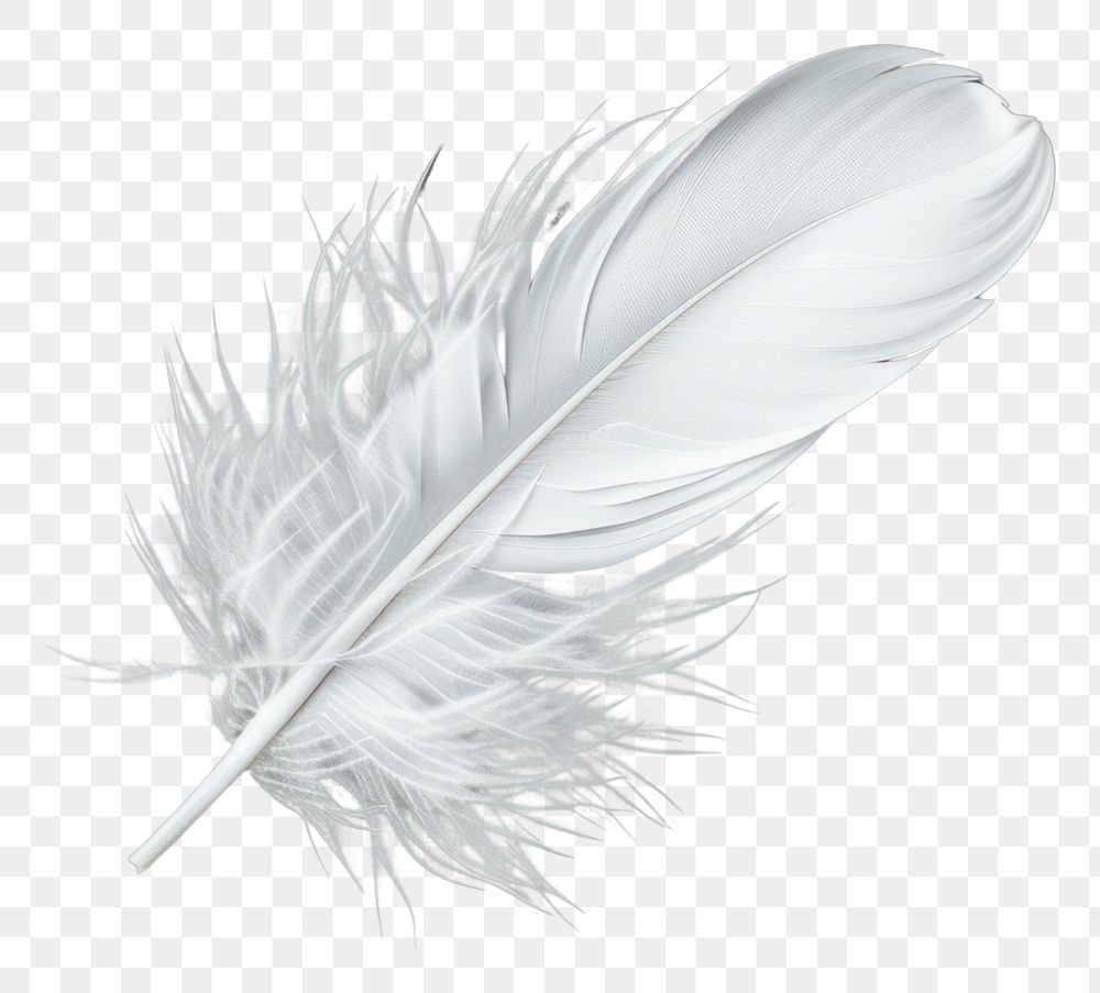 PNG Floating white feather background gray gray background.