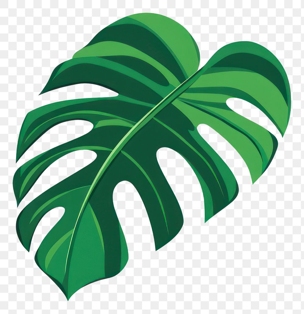 PNG Green leaf illustration art botanical.